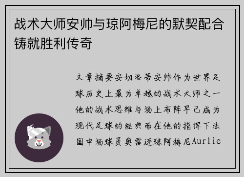 战术大师安帅与琼阿梅尼的默契配合铸就胜利传奇